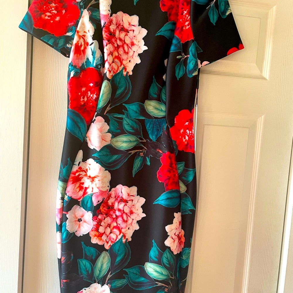 Calvin Klein floral scuba sheath dress size 6